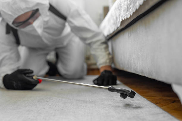 Professional Termite Control technician working in Bridgeport, WV