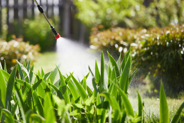 24/7 Emergency Termite Control experts in Bridgeport, WV