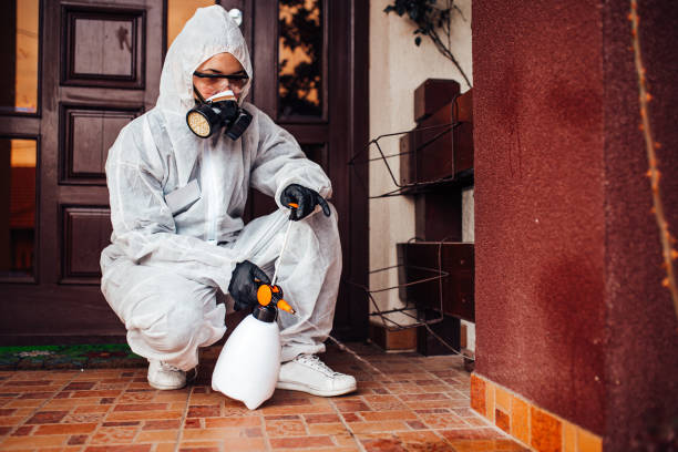 Reliable Termite Control contractor in Bridgeport, WV by Nex Pest Control